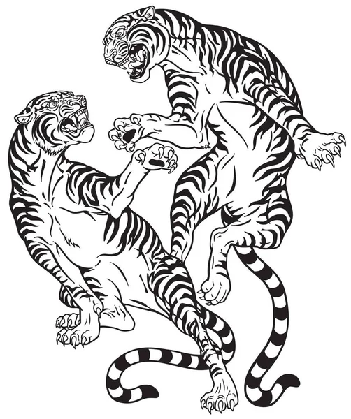 Tiger Kämpfen Zwei Brüllende Raubkatzen Kampf Vektor Illustration Schwarz Weißen — Stockvektor