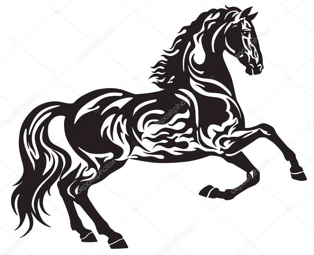 Download Black stallion tattoos | Flaming Black Stallion Horse Free ...