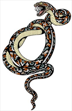Coiled snake tattoo vector Coiled snake tattoo vector