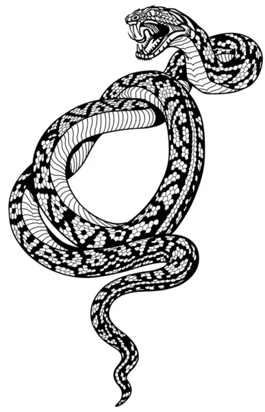 Coiled snake tattoo black and white — Stock Vector