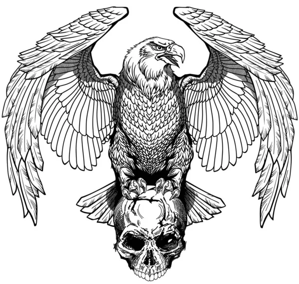 Αετός και ανθρώπινο κρανίο. Ασπρόμαυρο τατουάζ — Διανυσματικό Αρχείο