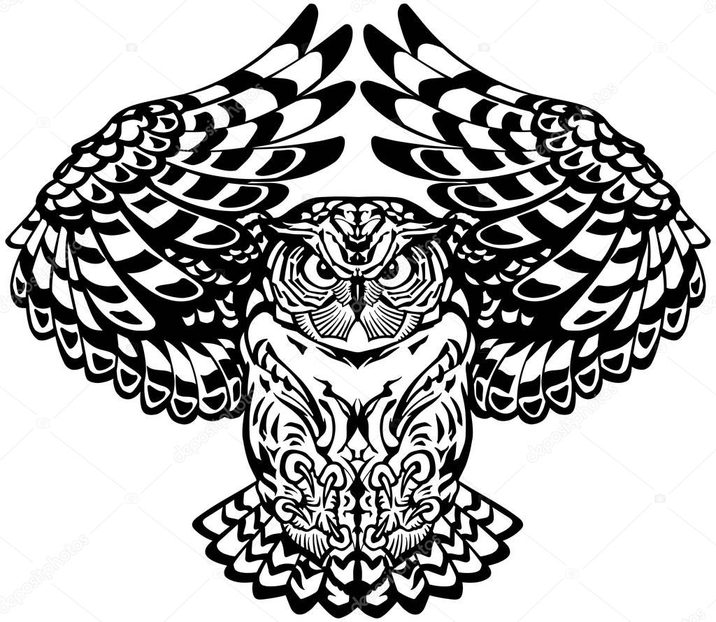 flying owl. Black and white. Front view