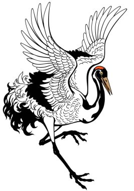 Dans eden vinç. Japon kırmızı taçlı kuşu. Dövme. İzole vektör illüstrasyonu