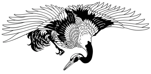 Grúa Voladora Pájaro Coronado Rojo Japonés Tatuaje Blanco Negro Ilustración — Vector de stock