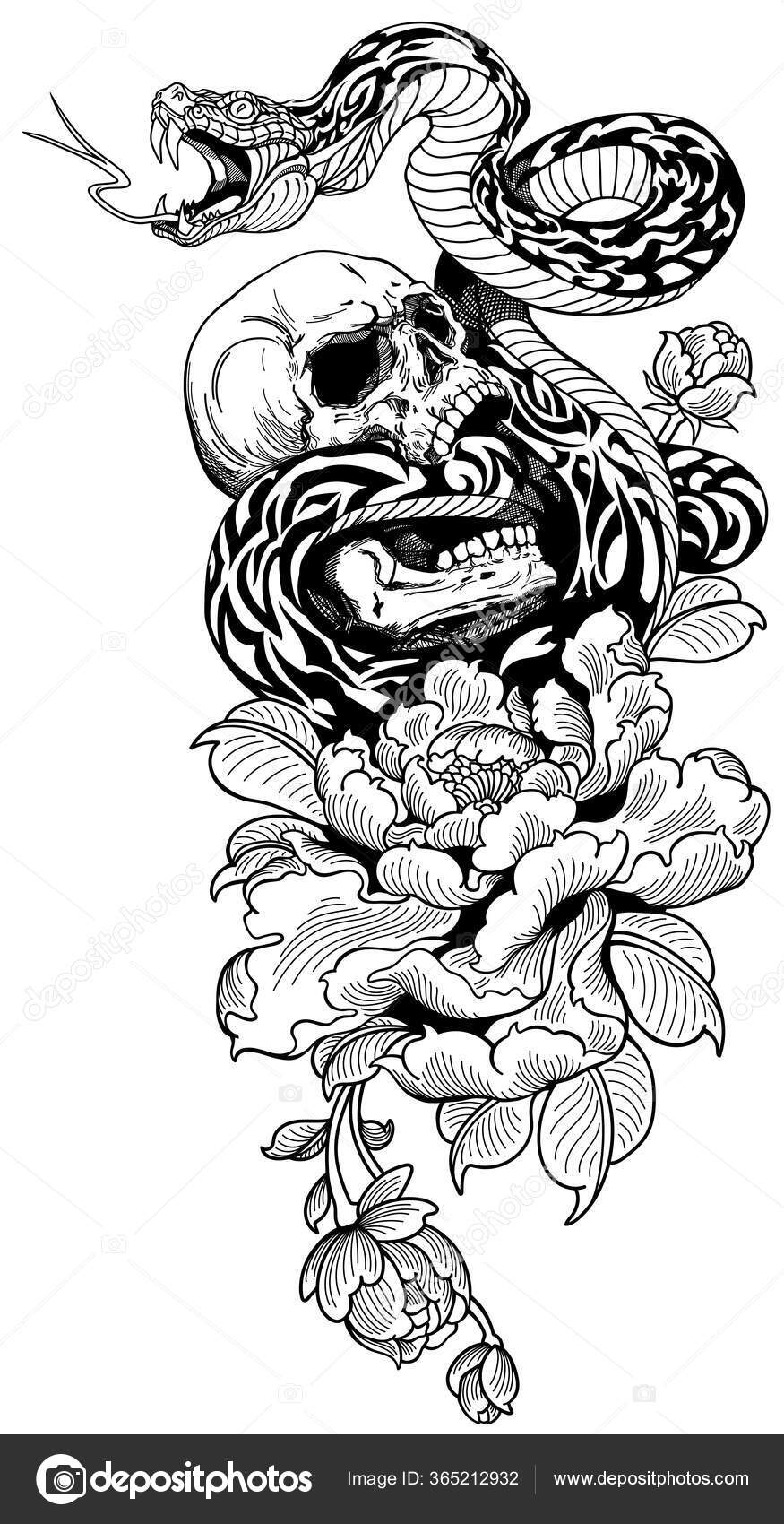 Angry Snake Coiled Broken Human Skull Peony Flower Black White Stock Vector Image by ©insima #365212932 Angry Snake Coiled Broken Human Skull Peony Flower Black White Stock Vector Image by ©insima #365212932