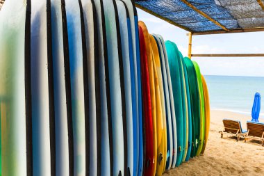 Farklı renk ve boyut Surfboards Bali plajda ayakta