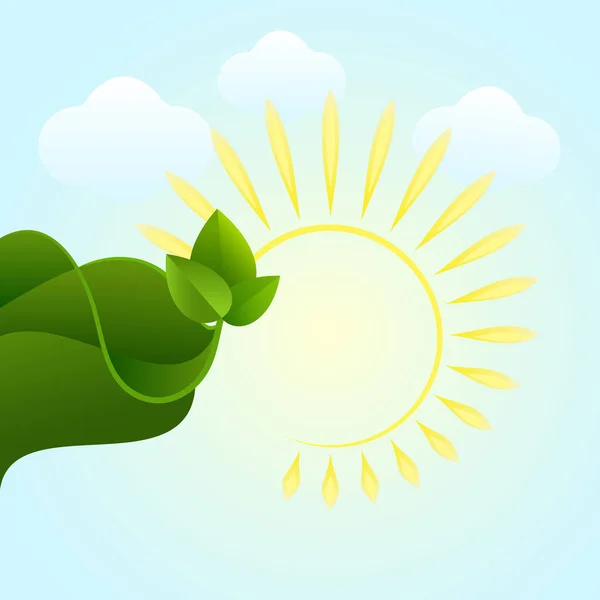 Abstract zomer vector achtergrond met zon en groen blad. — Stockvector