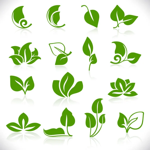 Simples folhas verdes formas isoladas no fundo branco — Vetor de Stock