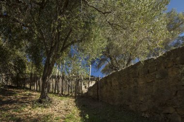 Sakin California köşe