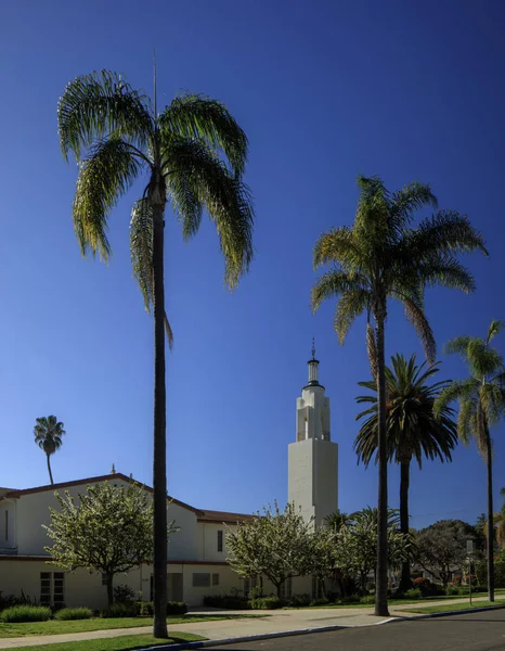 Kerk toren en palmen — Stockfoto