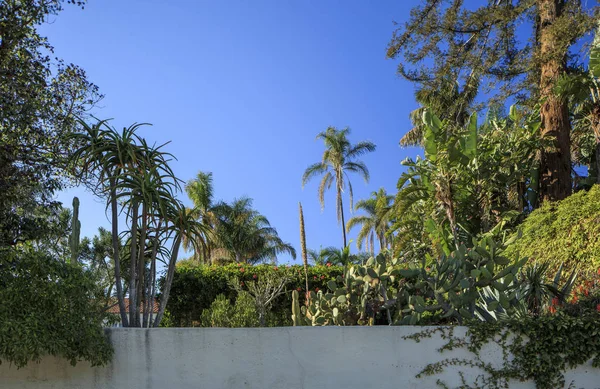 Ein santa barbara hinterer Garten — Stockfoto