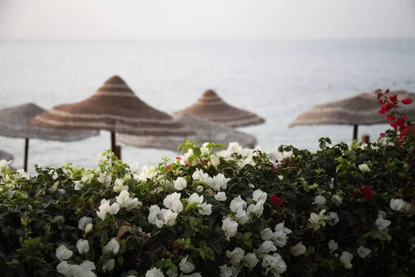 Station touristique, Egypte — Photo