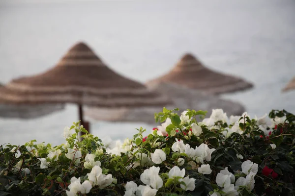 Tourist resort, Egypt — Stock Photo, Image