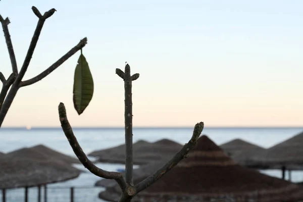 Sea landscape, Egypt, Sharm El-Sheikh — Stock Photo, Image