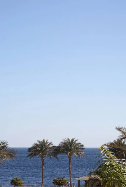 Sea landscape, Egypt, Sharm El-Sheikh — Stock Photo, Image