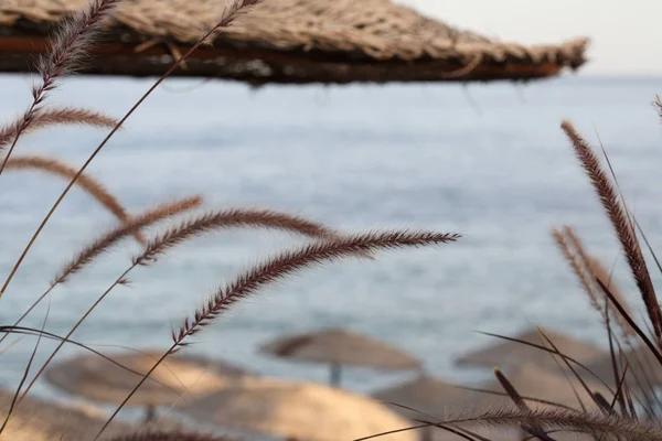 Beach, Sharm El-Sheikh, Egypte — Stockfoto