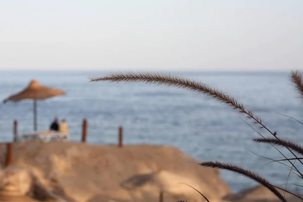 Sea landscape, Egypt, Sharm El Sheikh — Stock Photo, Image