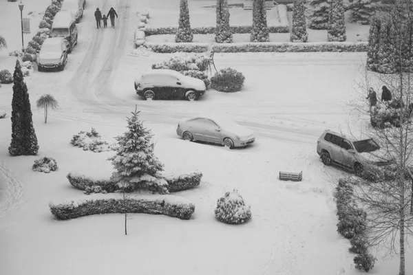 Winterbeeld stad, zwart-wit — Stockfoto