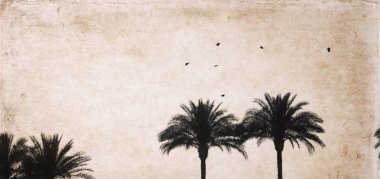 Retro tarzı, uçan kuşlar, resimde palms