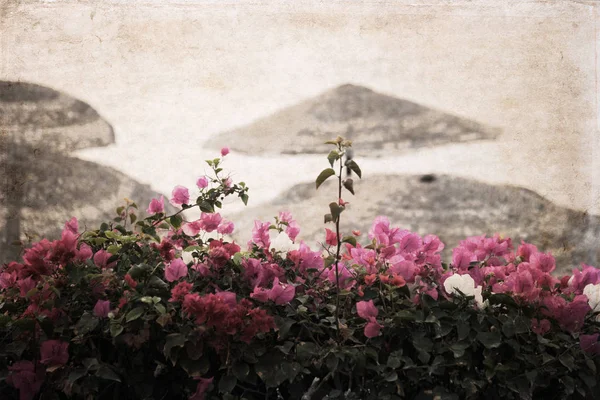 Obra de arte em estilo retro, flores perto de uma praia, verão — Fotografia de Stock