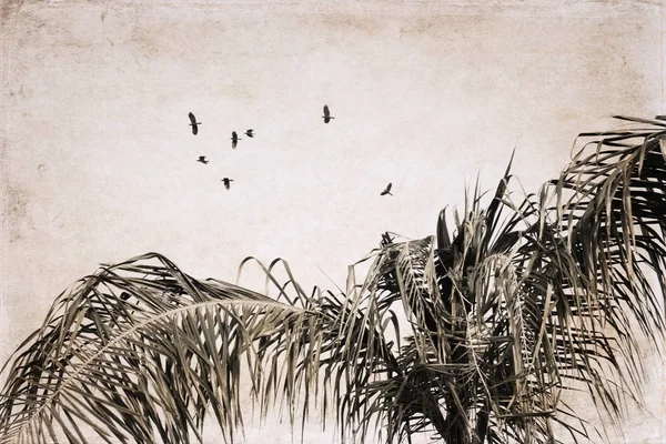Произведения искусства в стиле ретро, летающие птицы, дерево — стоковое фото