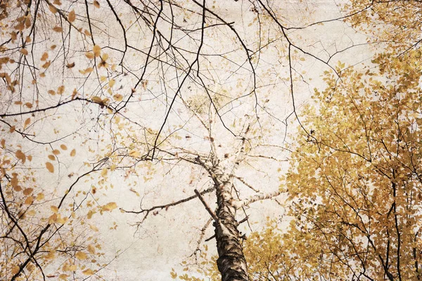 Kunstwerk in retro stijl, herfstbos — Stockfoto