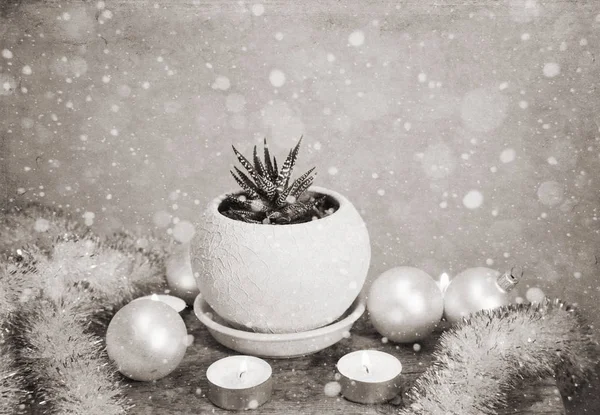 Oeuvre d'art dans un style vintage, succulent, bougies / vacances d'hiver, d — Photo