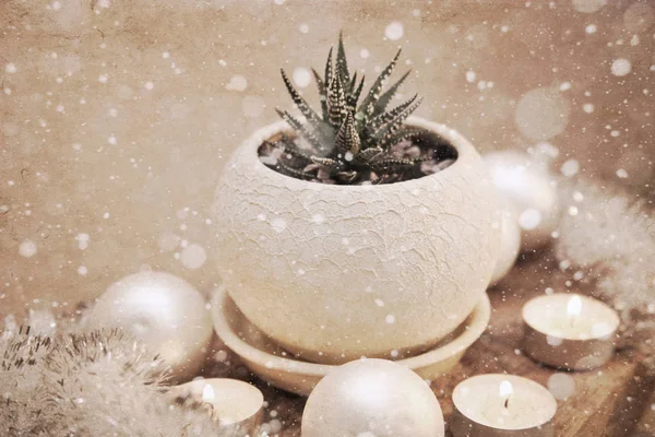 Artwork in vintage style, succulent, candles / winter holidays, d — Stock fotografie