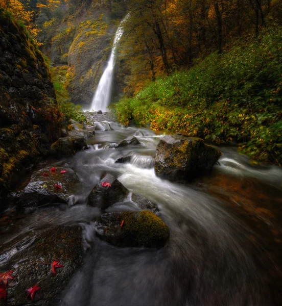 Horsetail Falls com folhagem de outono — Fotografia de Stock