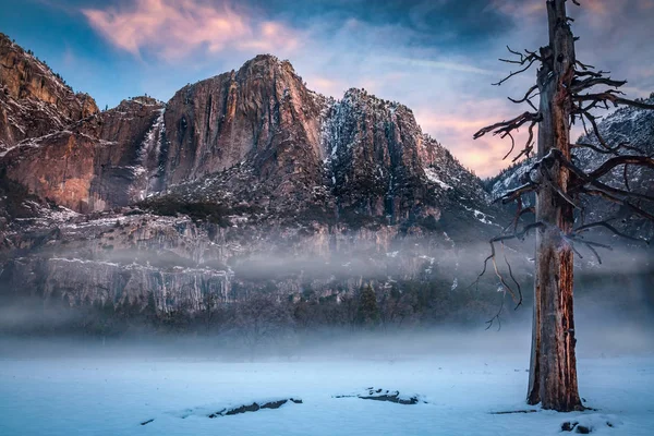 Vale de Yosemite com nevoeiro matutino e neve — Fotografia de Stock