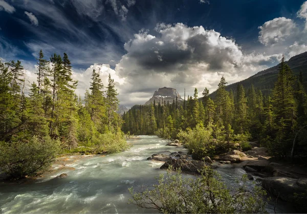 Národní park Yoho — Stock fotografie