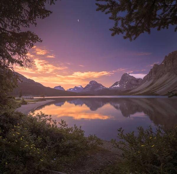 Bow Lake all'alba — Foto Stock