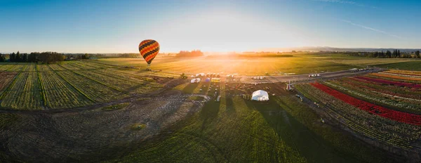Hot air balloon taking off at sunrise — Stock Photo, Image