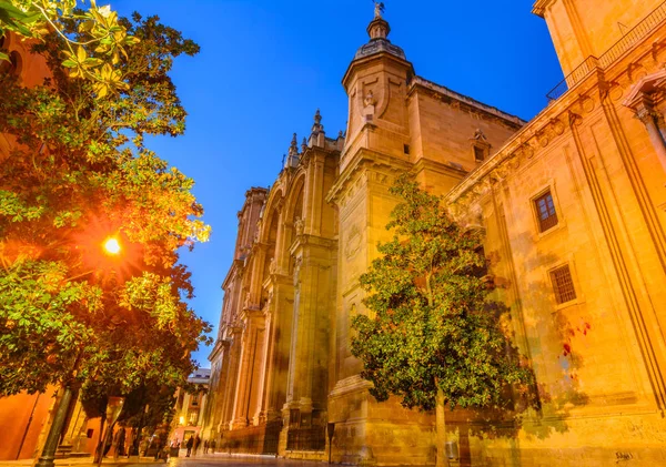 Cattedrale dell'Incarnazione. Facciata principale, Spagna — Foto Stock