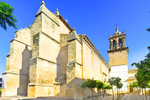 Santa Marina de Aguas Santas, Cordoba, Andalusia,Spain — 스톡 사진