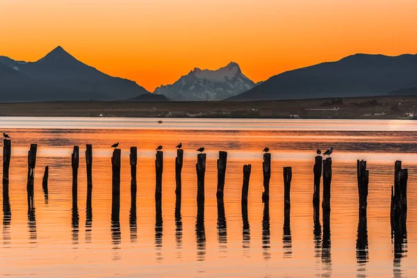 Gulf Almirante Montt,Puerto Natales, Chile — стокове фото