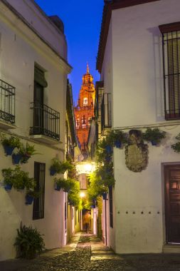 Calleja de las Flores Cordoba, Endülüs, İspanya