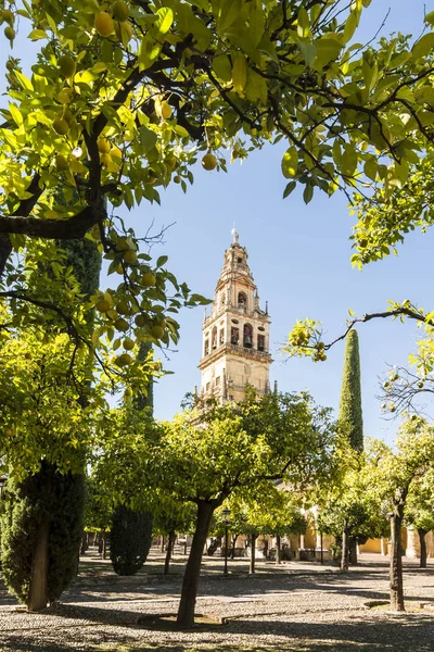 Klocktornet i katedralen Mezquita, Cordoba, Spanien — Stockfoto