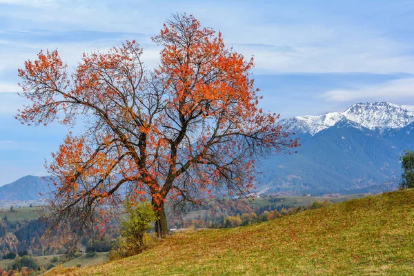 Ρουμανία: φθινόπωρο τοπίο με τα βουνά Bucegi Pestera χωριό — Φωτογραφία Αρχείου