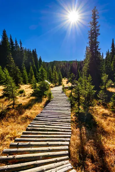 Bucegi mountains, Rumunsko, Laptici bažiny rezervace — Stock fotografie