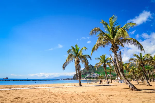 Las Teresitas, Tenerife,Canary islands,Spain: Las Teresitas beach — Stockfoto