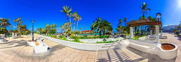 Puerto de la Cruz, Tenerife, Canary Islands, Spain: Public tropi — Φωτογραφία Αρχείου