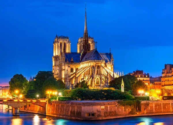 Ile Cite Paris França Vista Noturna Cathedrale Notre Dame Paris — Fotografia de Stock