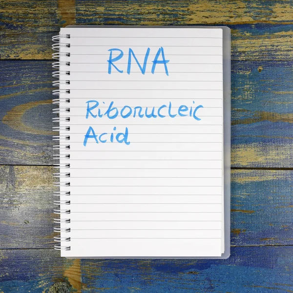 RNA - Testo dell'acido ribonucleico scritto nel taccuino — Foto Stock