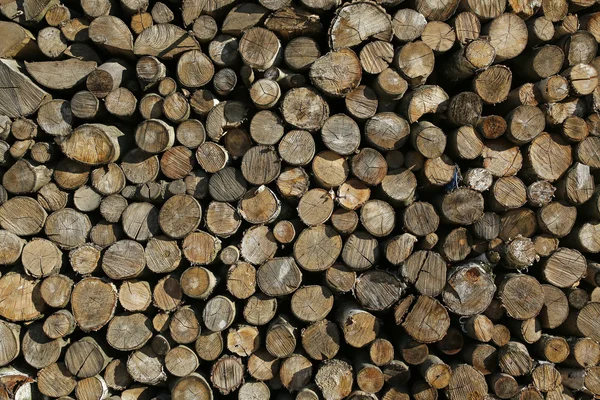 Wooden logs background or texture — Stock Photo, Image