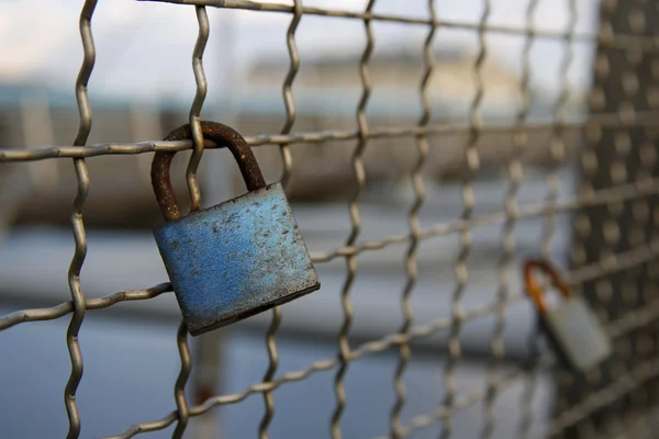 Love padlocks chained to bridge — Stock Photo, Image