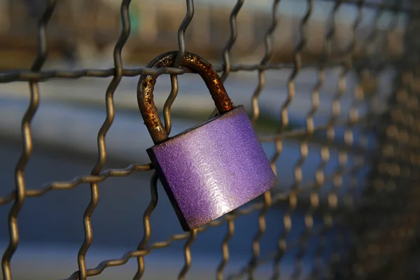 Pink love padlock chained to bridge — Stock Photo, Image