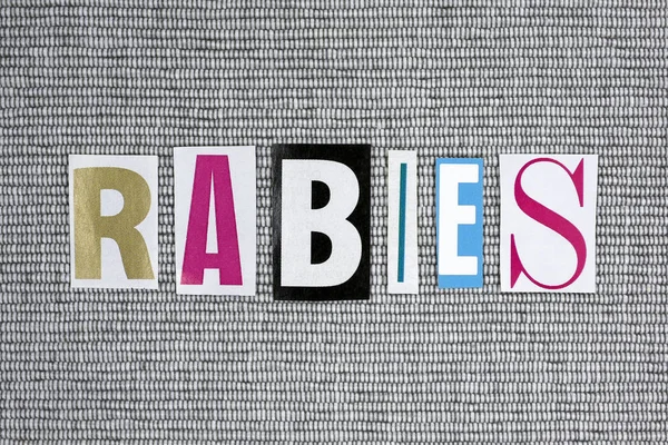 Rabies word on grey background — Stock Photo, Image