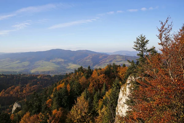 Panoramautsikt från tre kronor peak i Pieniny bergen, Polen — Stockfoto