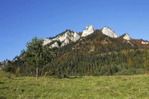 Tre kronor peak i Pieniny bergen, Polen — Stockfoto